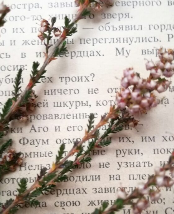 a close up of a book with flowers on it