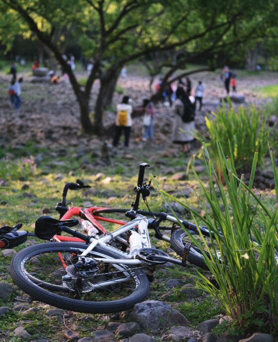 a bicycle laying on the ground in a park