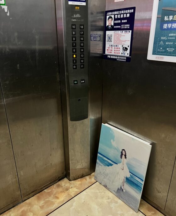 A painting of a woman leans in an elevator.
