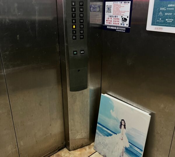 A painting of a woman leans in an elevator.